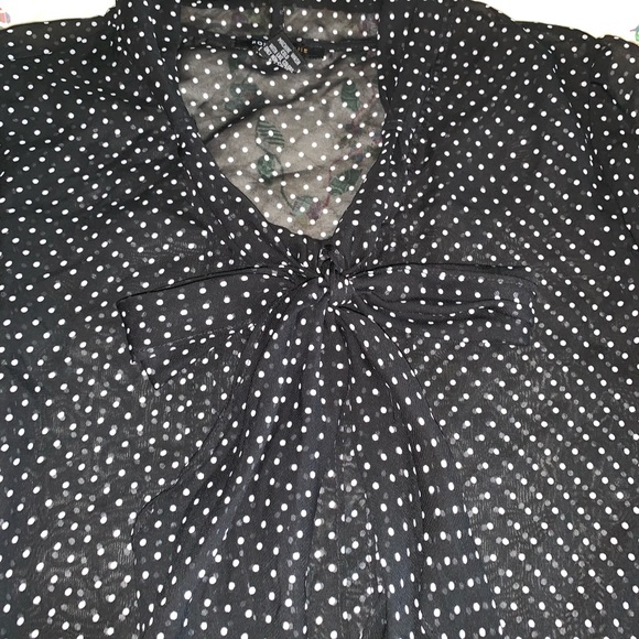 Robert Louis Sheer Blouse - Picture 2 of 4
